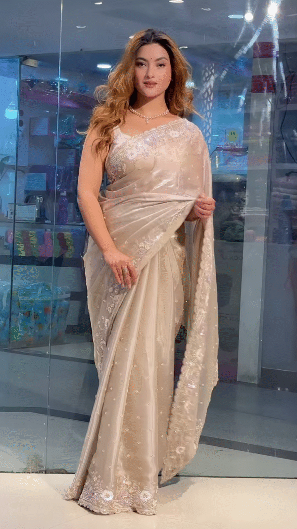 Party Modern Embroidered with Heavy Border Organza Brown Saree with Unstitched Blouse